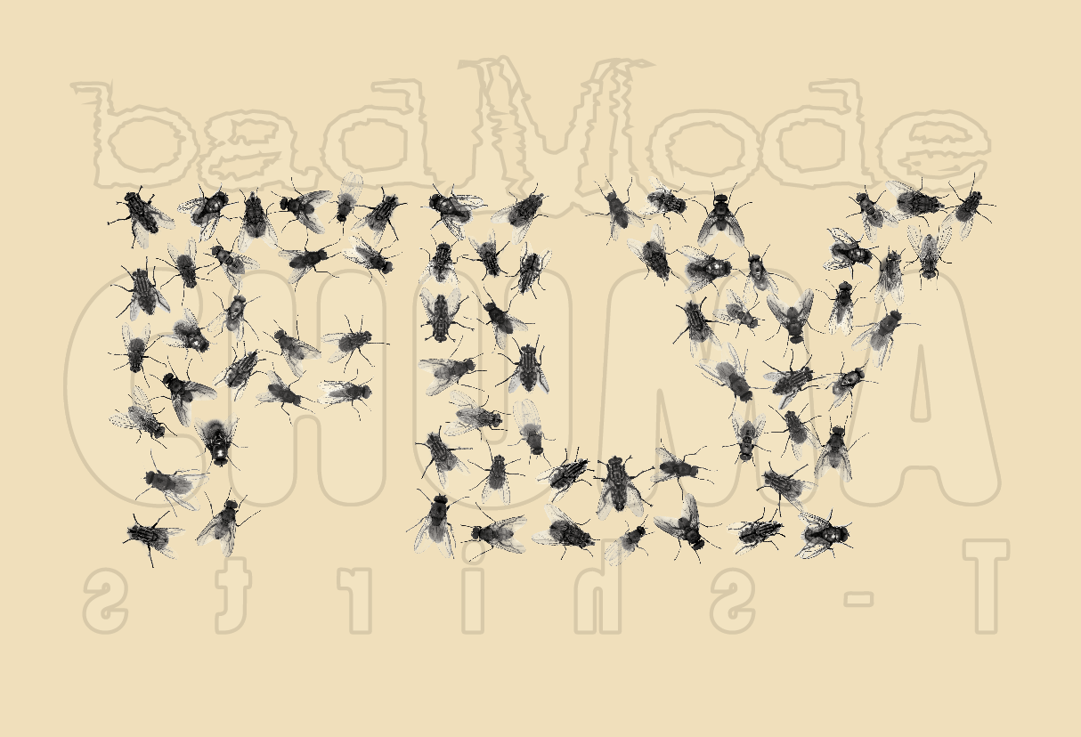 FLY A_4